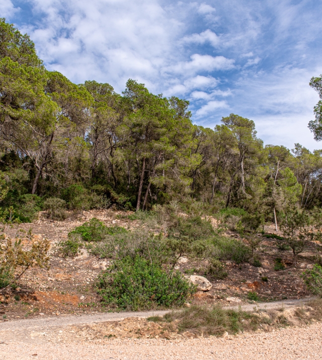 Resa estates Geraldine te koop finca noorden north ibiza sale bathroom mountain views.jpg